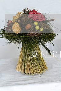 支付宝网商贷利息逾期 支付宝网商贷利息逾期