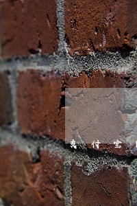 支付宝网商贷可以逾期吗 支付宝网商贷可以逾期吗
