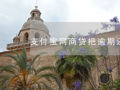 支付宝网商贷把逾期还上后 支付宝网商贷把逾期还上后