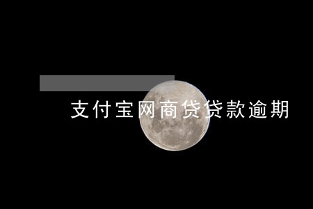 支付宝网商贷贷款逾期 支付宝网商贷贷款逾期