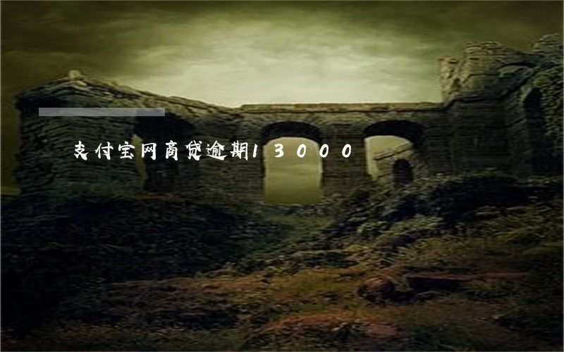 支付宝网商贷逾期13000 支付宝网商贷逾期13000