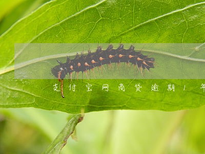 支付宝网商贷逾期1年罚息 支付宝网商贷逾期1年罚息