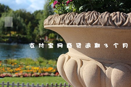 支付宝网商贷逾期3个月后果 支付宝网商贷逾期3个月后果