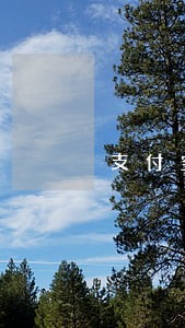 支付宝网商贷逾期4个月 支付宝网商贷逾期4个月