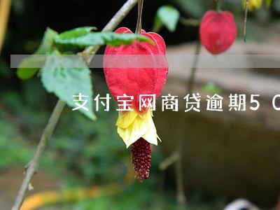 支付宝网商贷逾期500多天 支付宝网商贷逾期500多天