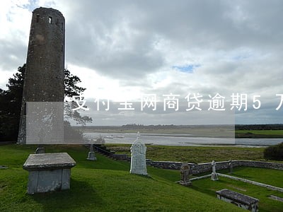 支付宝网商贷逾期5万 支付宝网商贷逾期5万