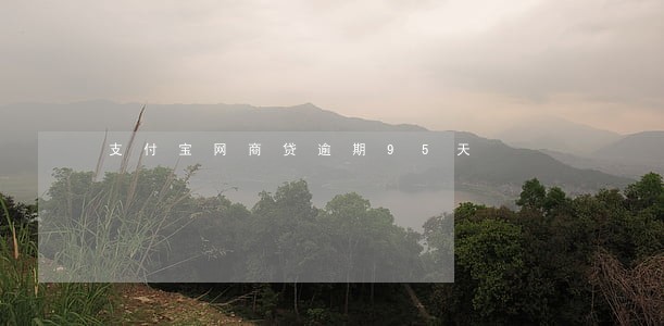 支付宝网商贷逾期95天 支付宝网商贷逾期95天