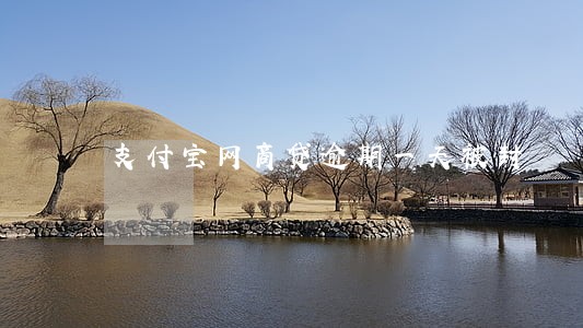 支付宝网商贷逾期一天被封 支付宝网商贷逾期一天被封