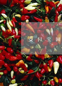 支付宝网商贷逾期一天还 支付宝网商贷逾期一天还