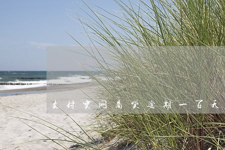 支付宝网商贷逾期一百天 支付宝网商贷逾期一百天