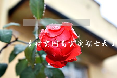 支付宝网商贷逾期七天了 支付宝网商贷逾期七天了