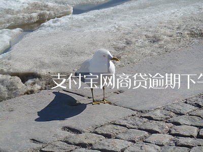 支付宝网商贷逾期下午三点 支付宝网商贷逾期下午三点