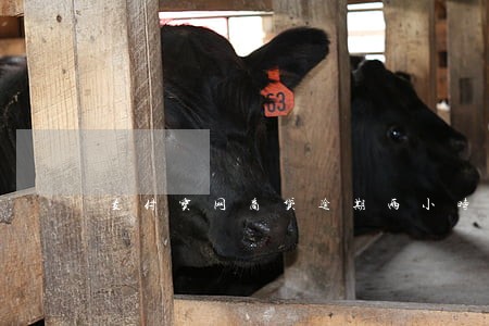 支付宝网商贷逾期两小时 支付宝网商贷逾期两小时