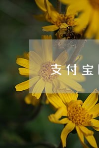 支付宝网商贷逾期了利息高吗 支付宝网商贷逾期了利息高吗