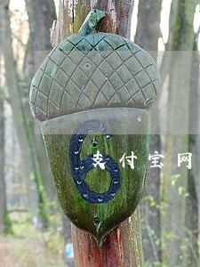 支付宝网商贷逾期了怎么处理