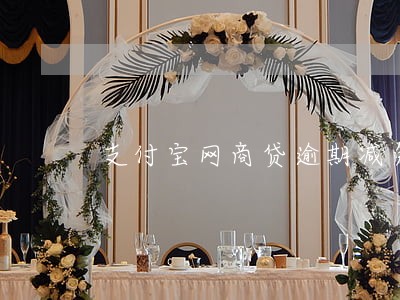支付宝网商贷逾期减免 支付宝网商贷逾期减免