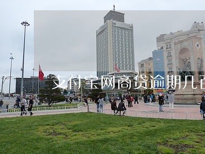 支付宝网商贷逾期几百元
