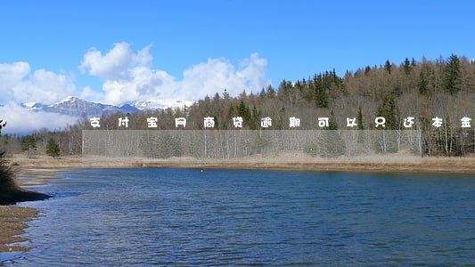 支付宝网商贷逾期可以只还本金
