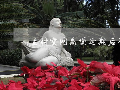 支付宝网商贷逾期后不能还款 支付宝网商贷逾期后不能还款