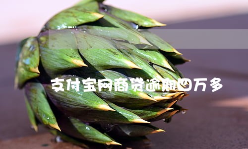 支付宝网商贷逾期四万多 支付宝网商贷逾期四万多