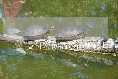 支付宝网商贷逾期图片截图