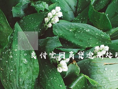 支付宝网商贷逾期处理方案 支付宝网商贷逾期处理方案