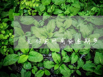 支付宝网商贷逾期多 支付宝网商贷逾期多