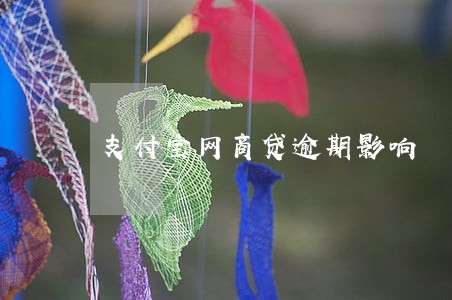 支付宝网商贷逾期影响 支付宝网商贷逾期影响