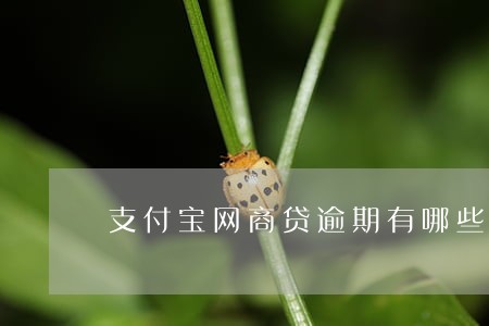 支付宝网商贷逾期有哪些后果 支付宝网商贷逾期有哪些后果