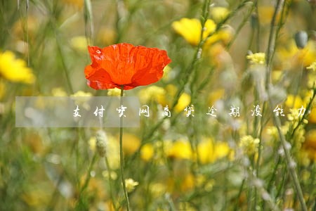 支付宝网商贷逾期没能力还 支付宝网商贷逾期没能力还