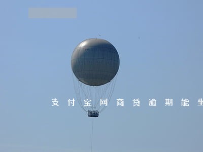 支付宝网商贷逾期能坐飞机吗 支付宝网商贷逾期能坐飞机吗