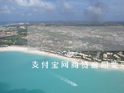 支付宝网商贷逾期要求还全款 支付宝网商贷逾期要求还全款