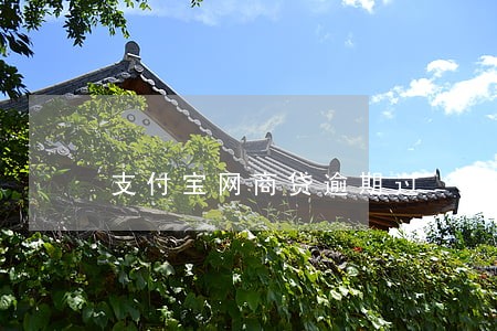 支付宝网商贷逾期过 支付宝网商贷逾期过