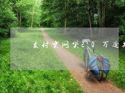 支付宝网贷20万逾期 支付宝网贷20万逾期