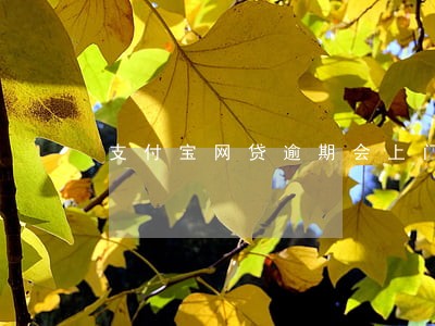 支付宝网贷逾期会上门吗 支付宝网贷逾期会上门吗