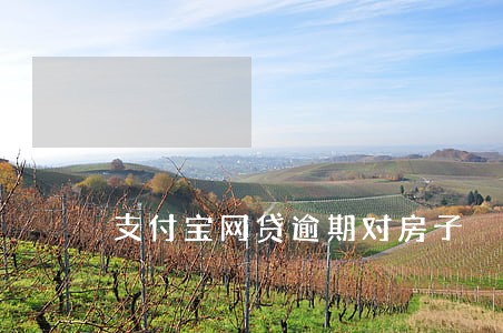 支付宝网贷逾期对房子 支付宝网贷逾期对房子