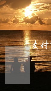 支付宝网贷逾期没钱还怎么办 支付宝网贷逾期没钱还怎么办