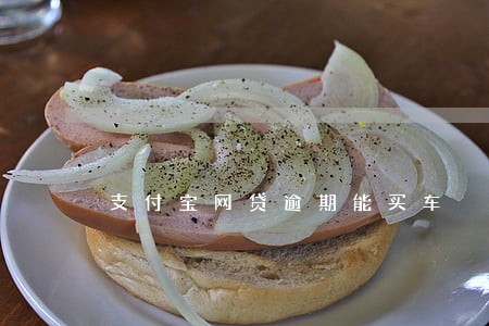 支付宝网贷逾期能买车 支付宝网贷逾期能买车