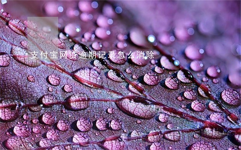 支付宝网贷逾期记录怎么消除 支付宝网贷逾期记录怎么消除