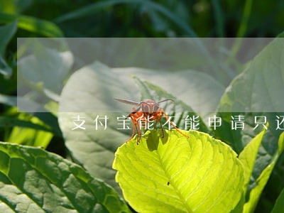 支付宝能不能申请只还本金 支付宝能不能申请只还本金