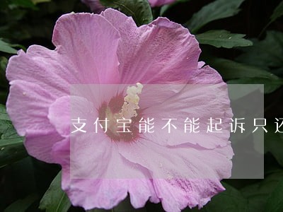支付宝能不能起诉只还本金 支付宝能不能起诉只还本金