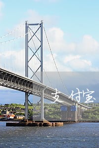 支付宝花呗借呗逾期半年了 支付宝花呗借呗逾期半年了