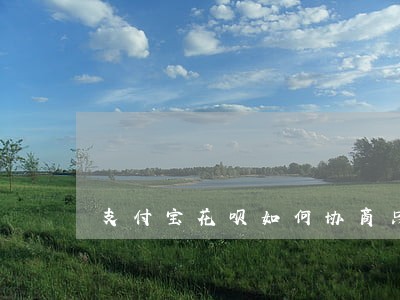支付宝花呗如何协商只还本金 支付宝花呗如何协商只还本金