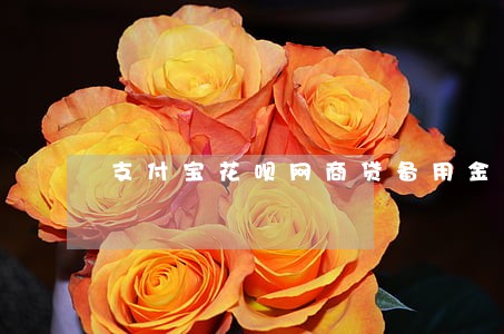 支付宝花呗网商贷备用金逾期 支付宝花呗网商贷备用金逾期