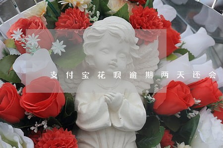 支付宝花呗逾期两天还会怎么样 支付宝花呗逾期两天还会怎么样
