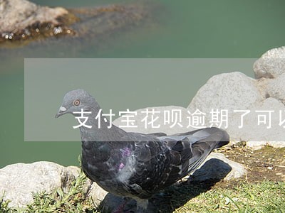 支付宝花呗逾期了可以坐高铁吗 支付宝花呗逾期了可以坐高铁吗