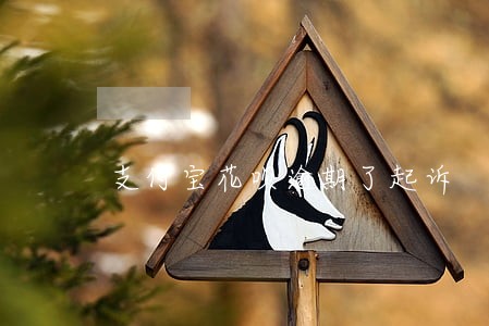 支付宝花呗逾期了起诉 支付宝花呗逾期了起诉