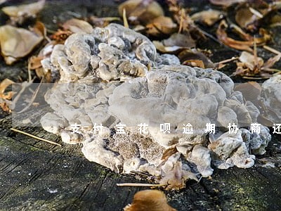 支付宝花呗逾期协商还款怎么协商 支付宝花呗逾期协商还款怎么协商