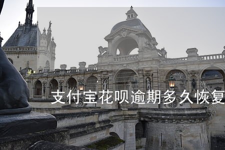 支付宝花呗逾期多久恢复额度