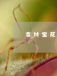 支付宝花呗逾期怎么跟客服沟通 支付宝花呗逾期怎么跟客服沟通